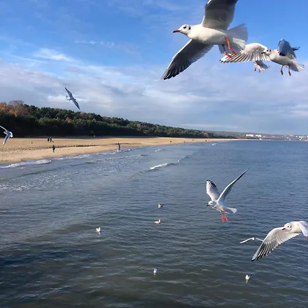 公寓 Nadmorski Dream W Gdansku